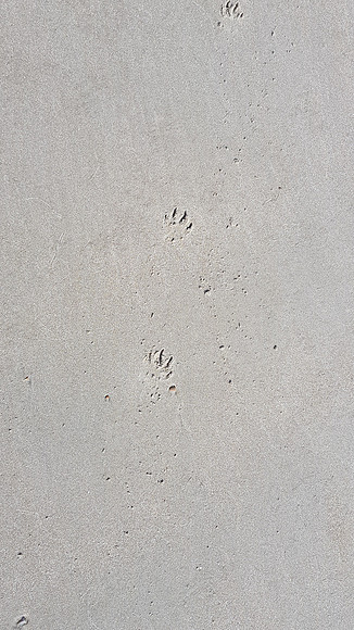 20210811_102635