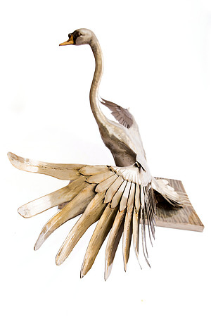 piers-metal-swan-sculpture-kew-gardens-11
