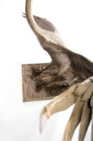 piers-metal-swan-sculpture-kew-gardens-9