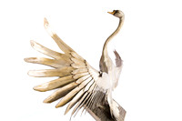 piers-metal-swan-sculpture-kew-gardens-12