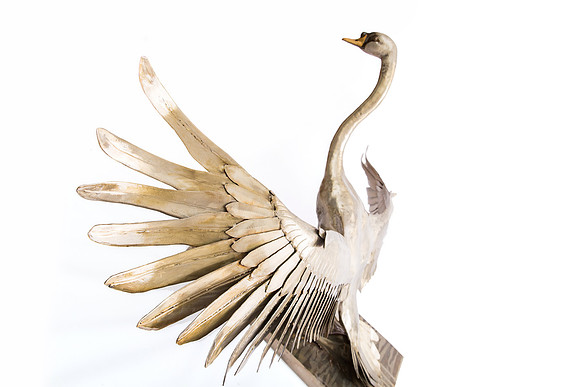piers-metal-swan-sculpture-kew-gardens-12